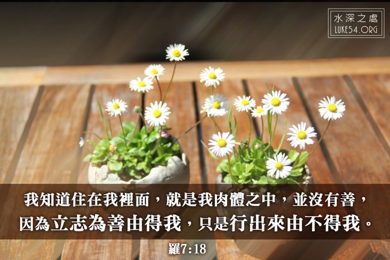 風景