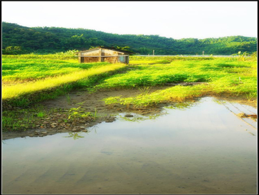 河水圖