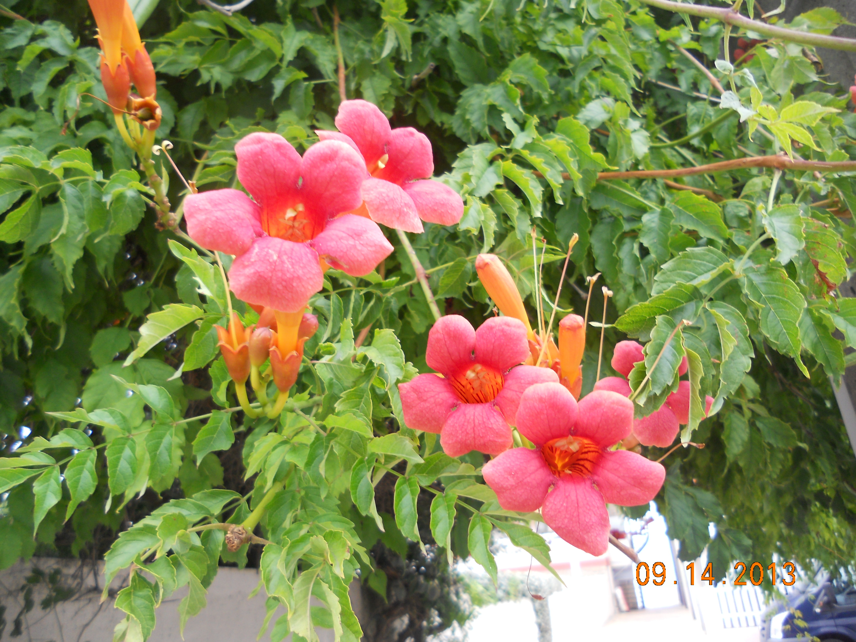 20190619-1
