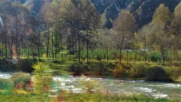 風景