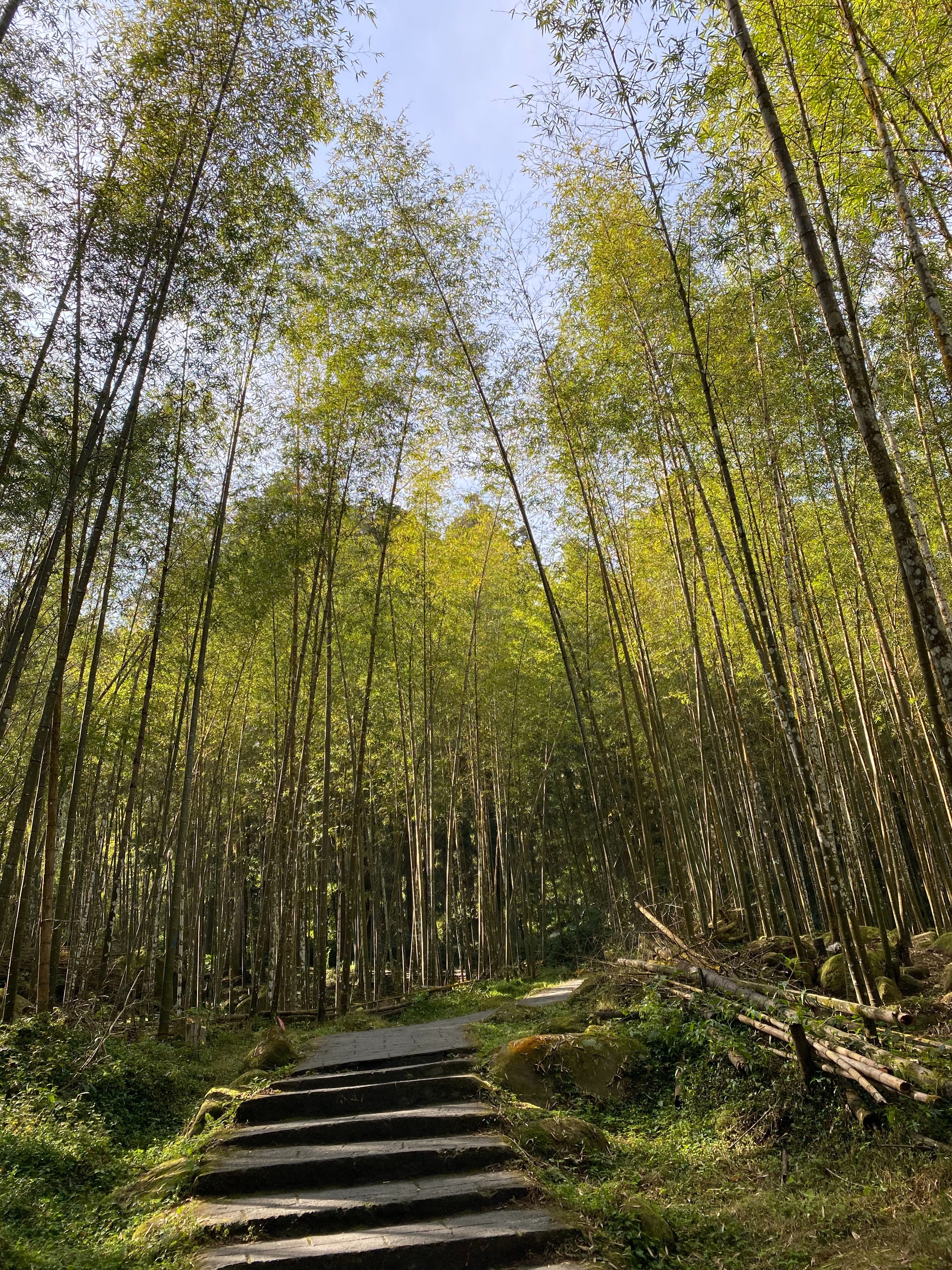 風景