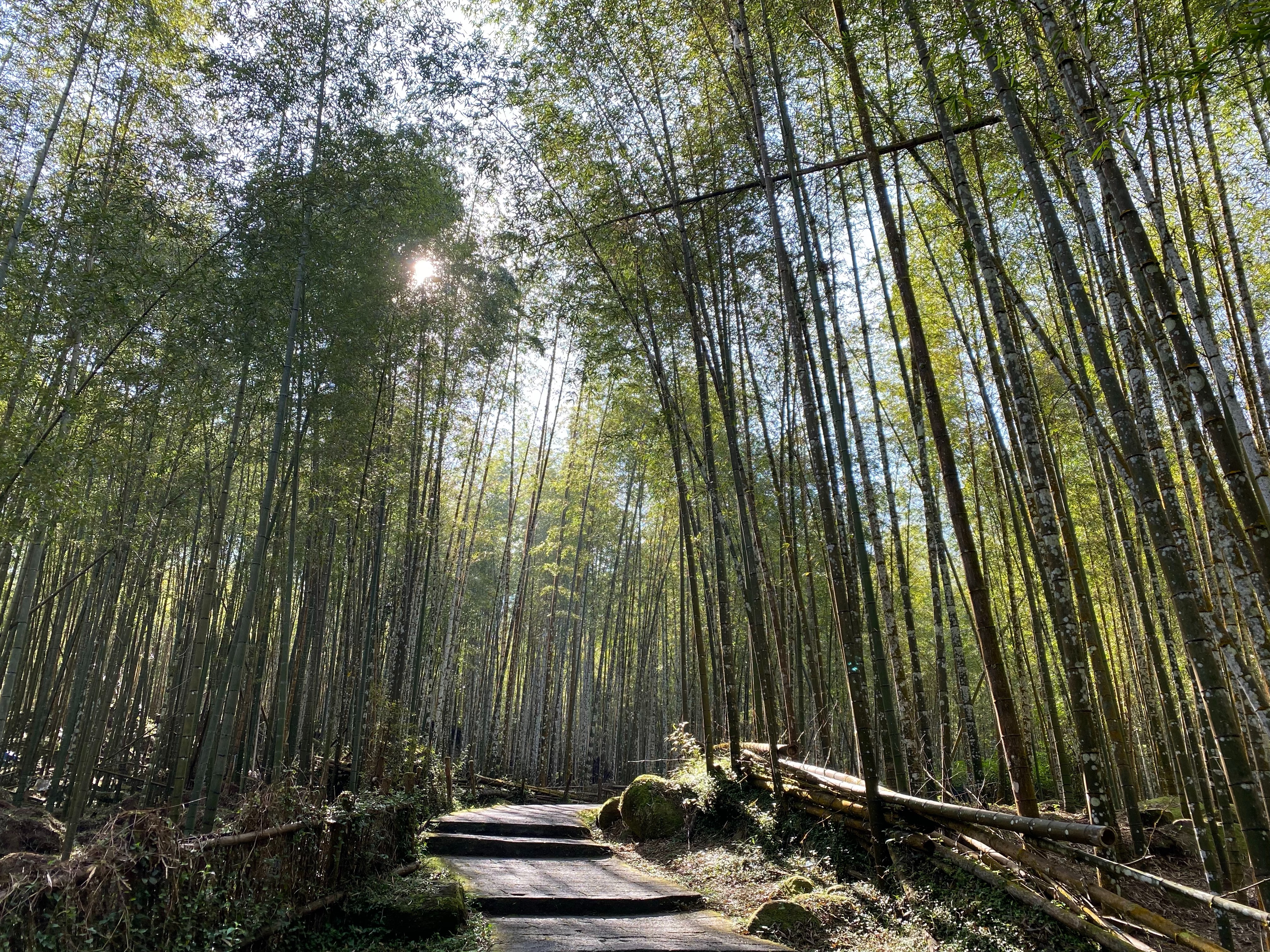 風景