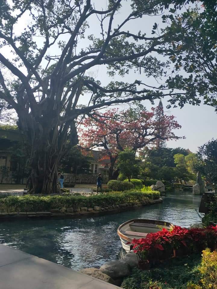 風景