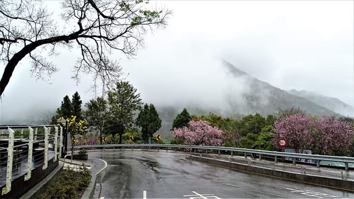 風景