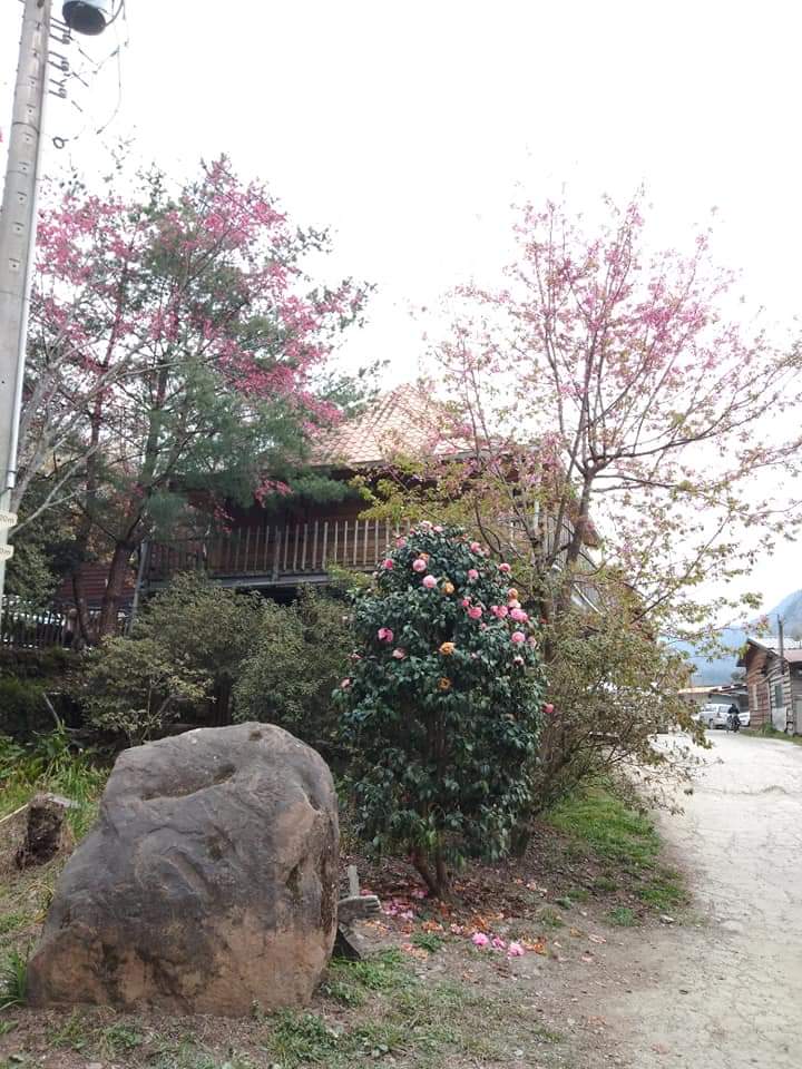 風景