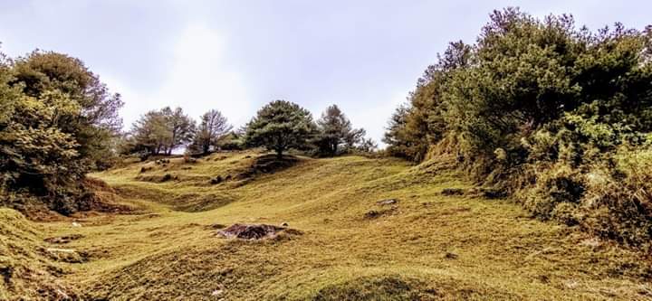 風景