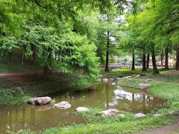 風景