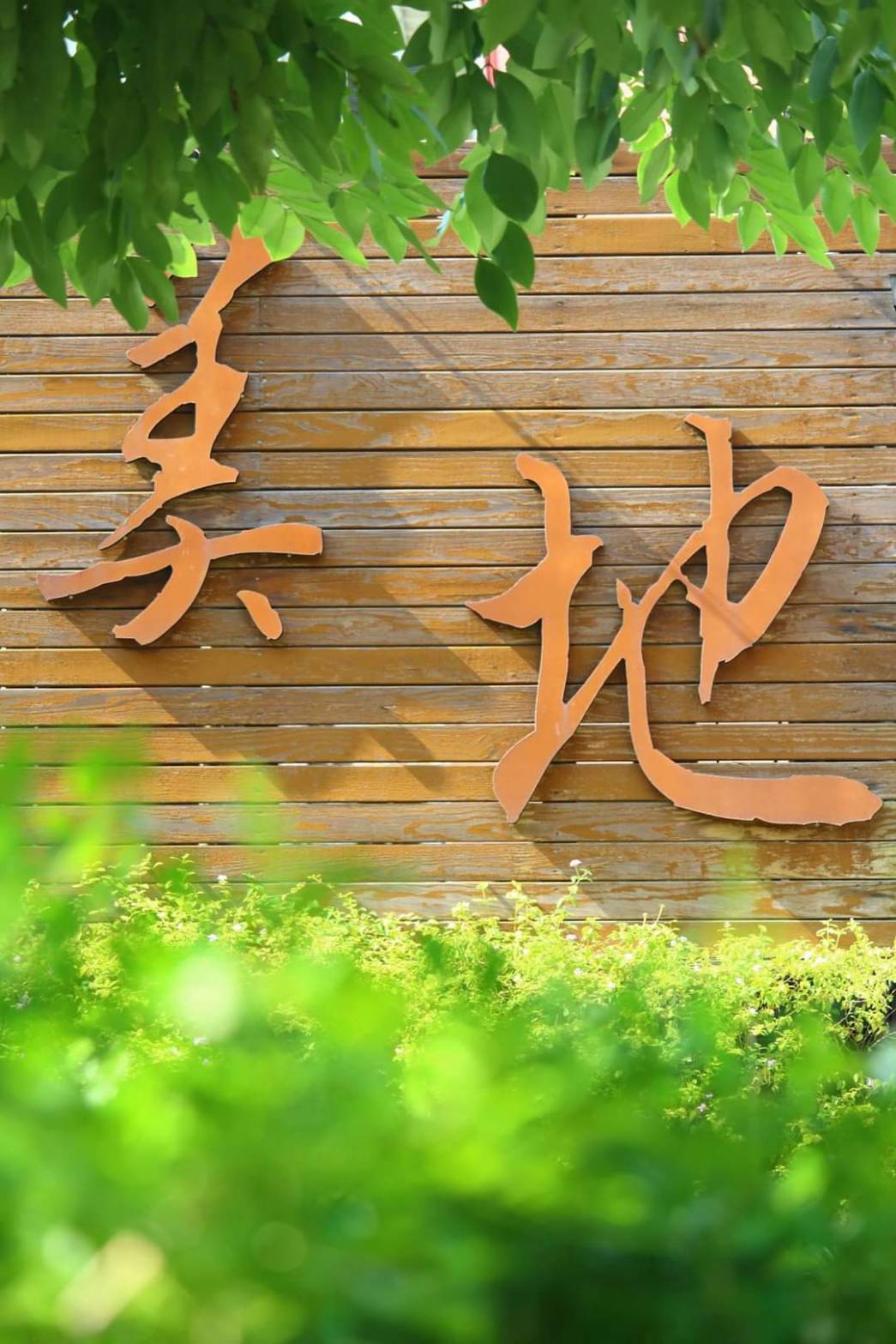 風景