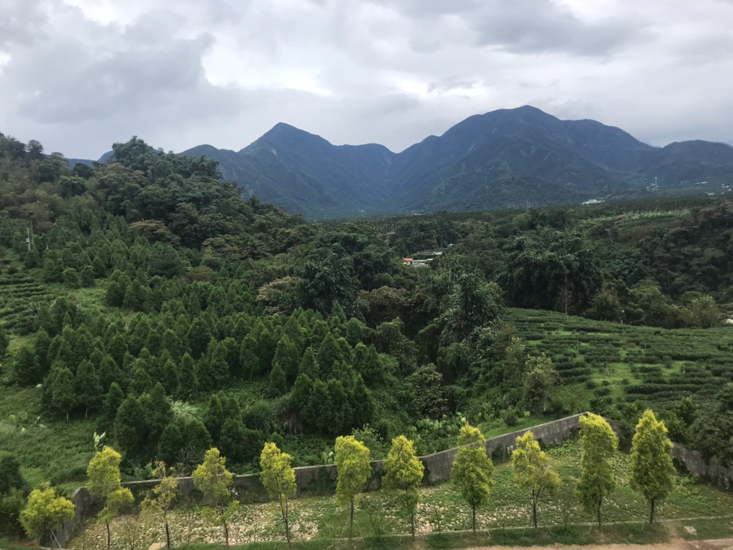 風景