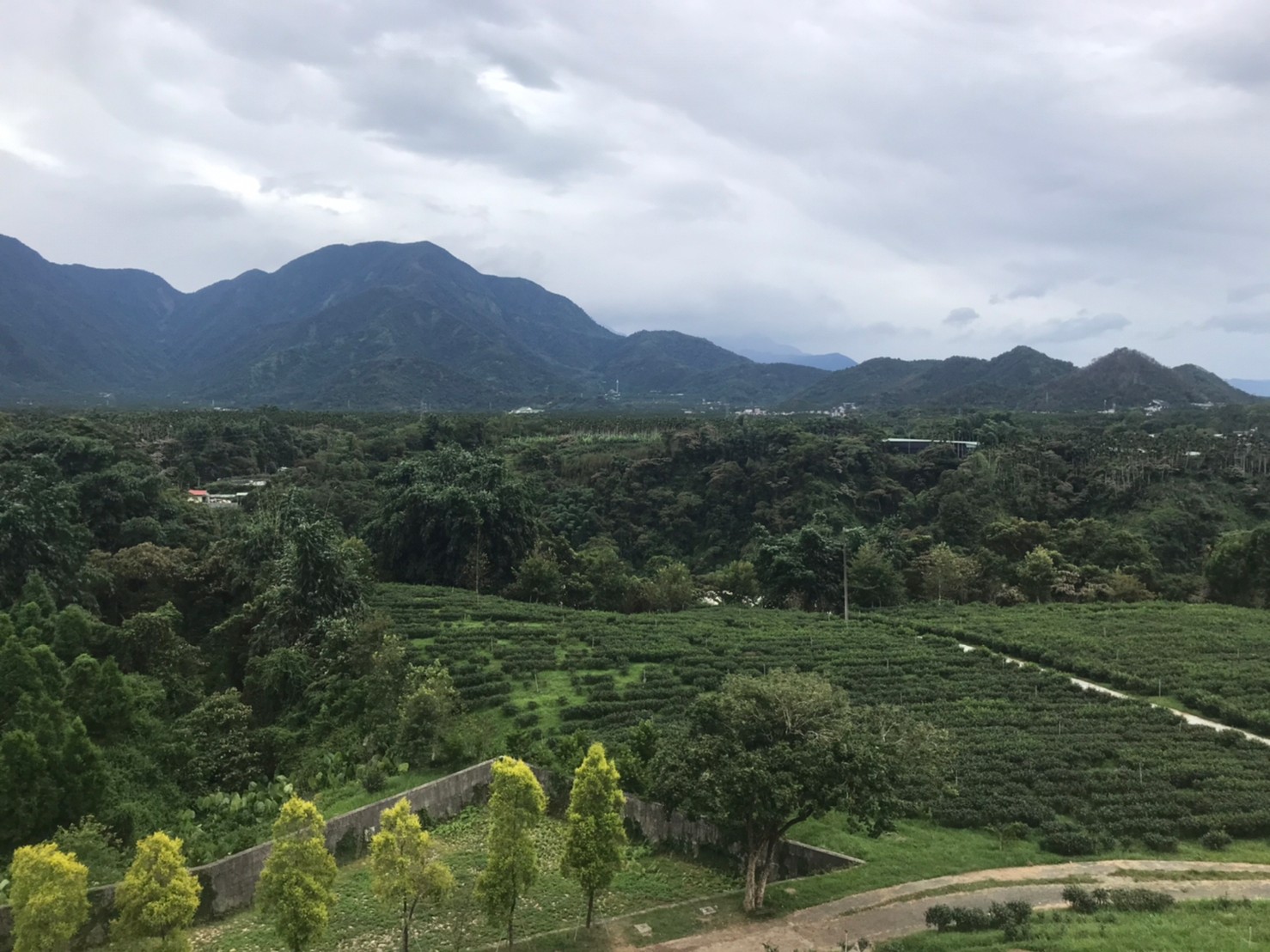 風景