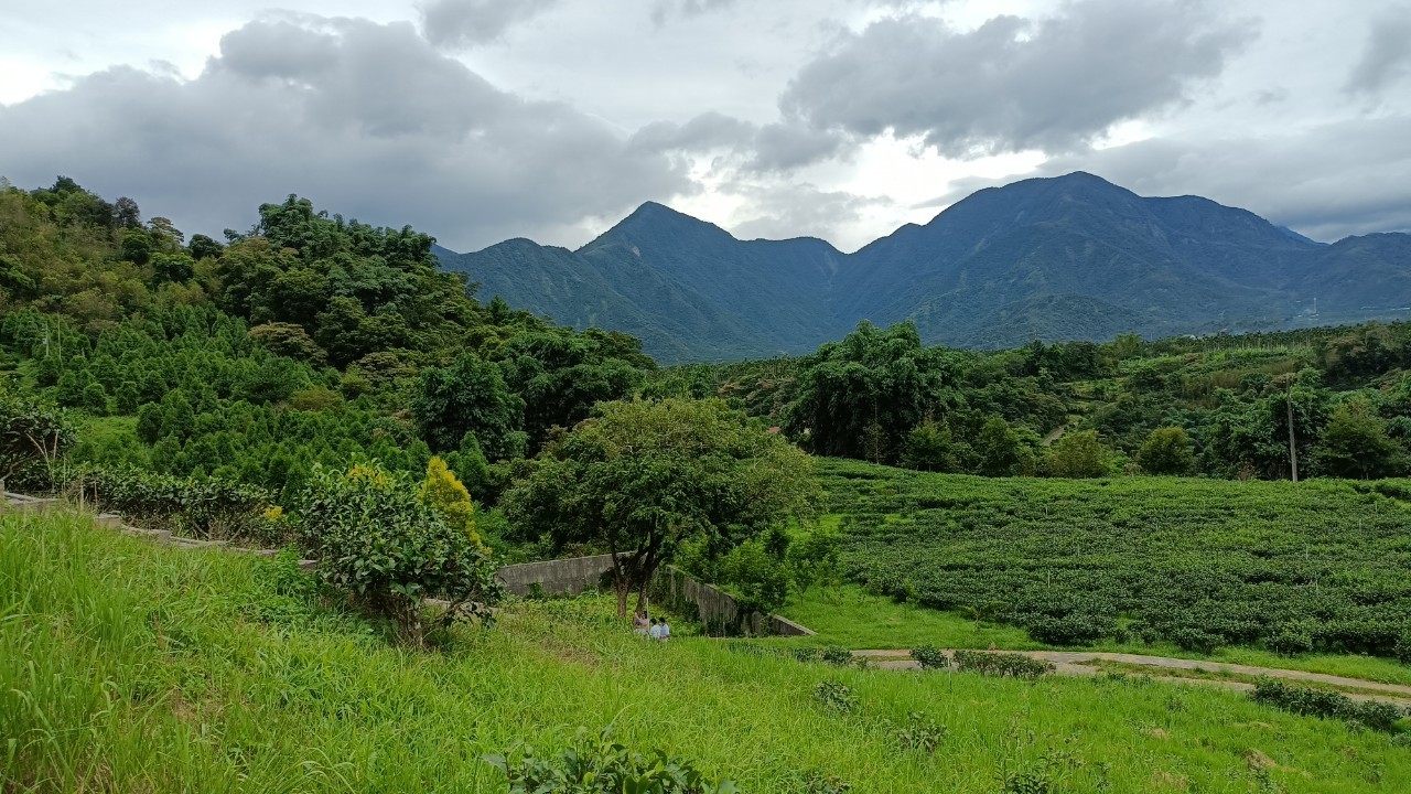 風景