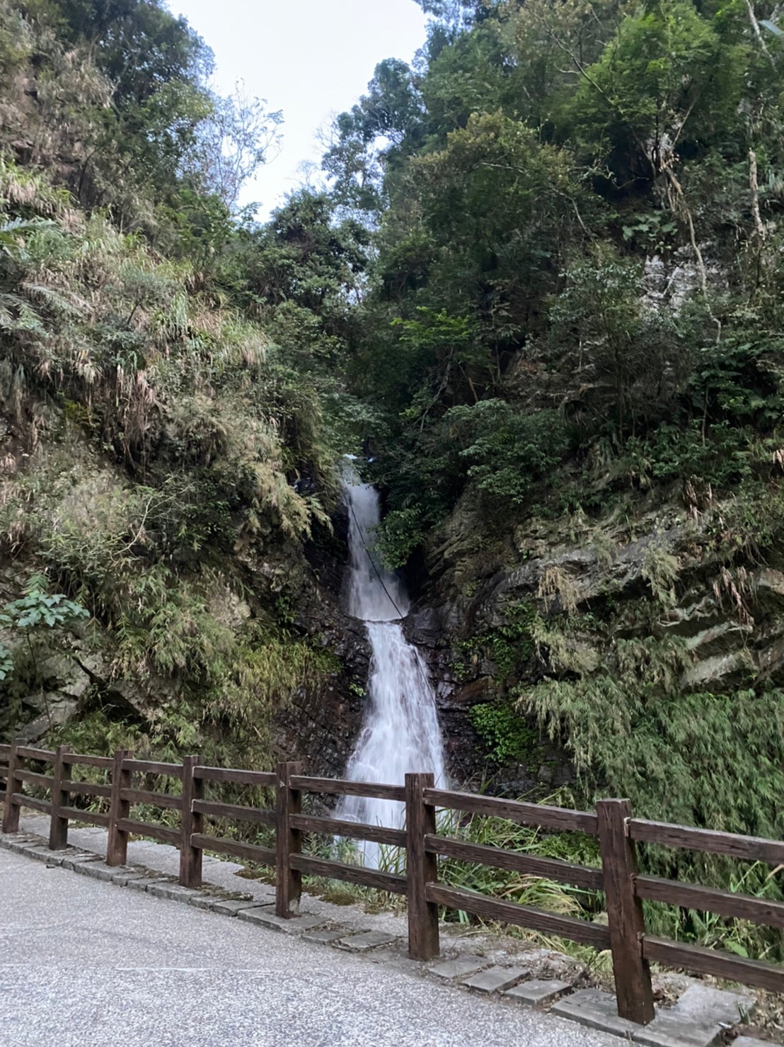 風景 