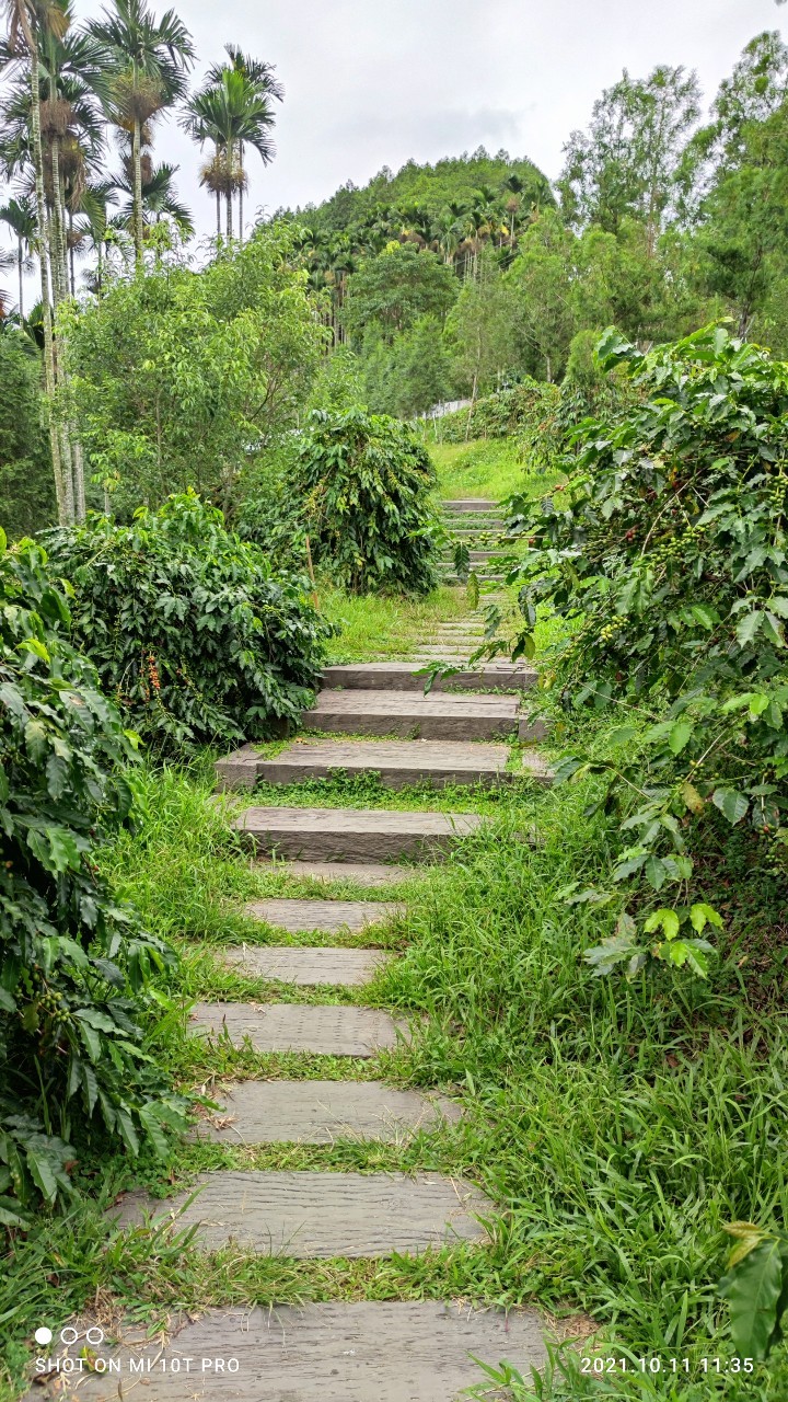 風景