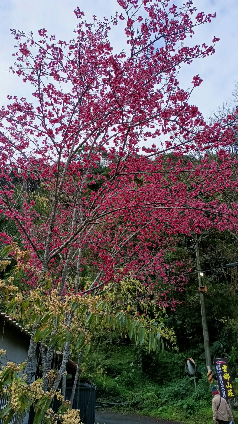 風景