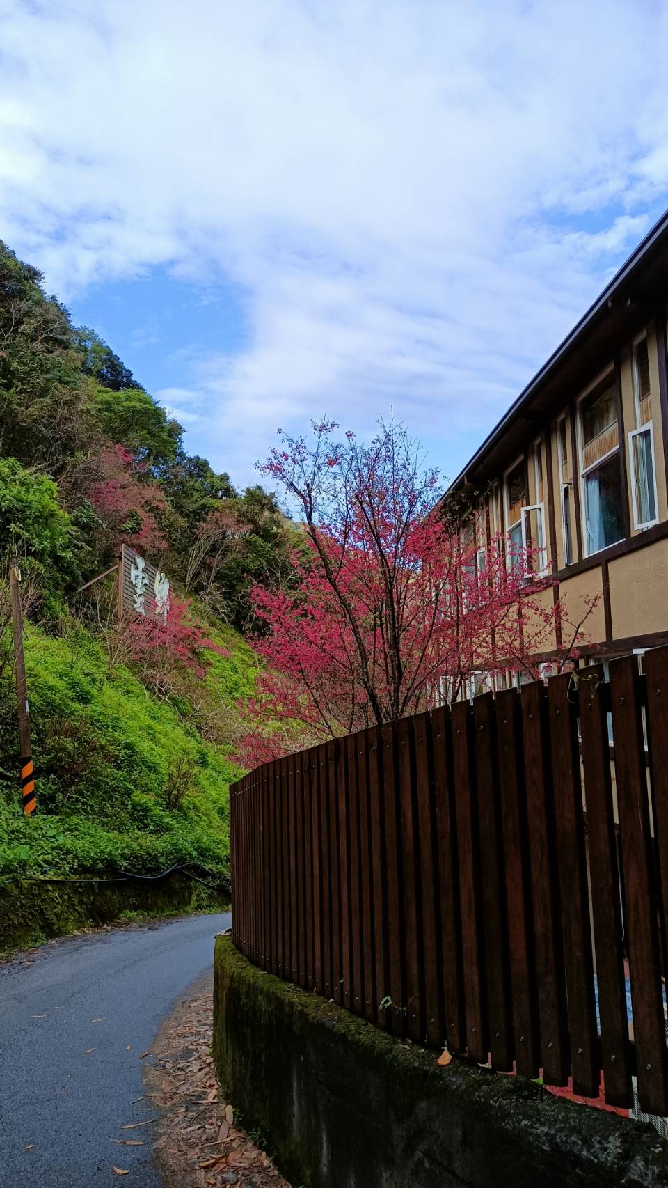 風景