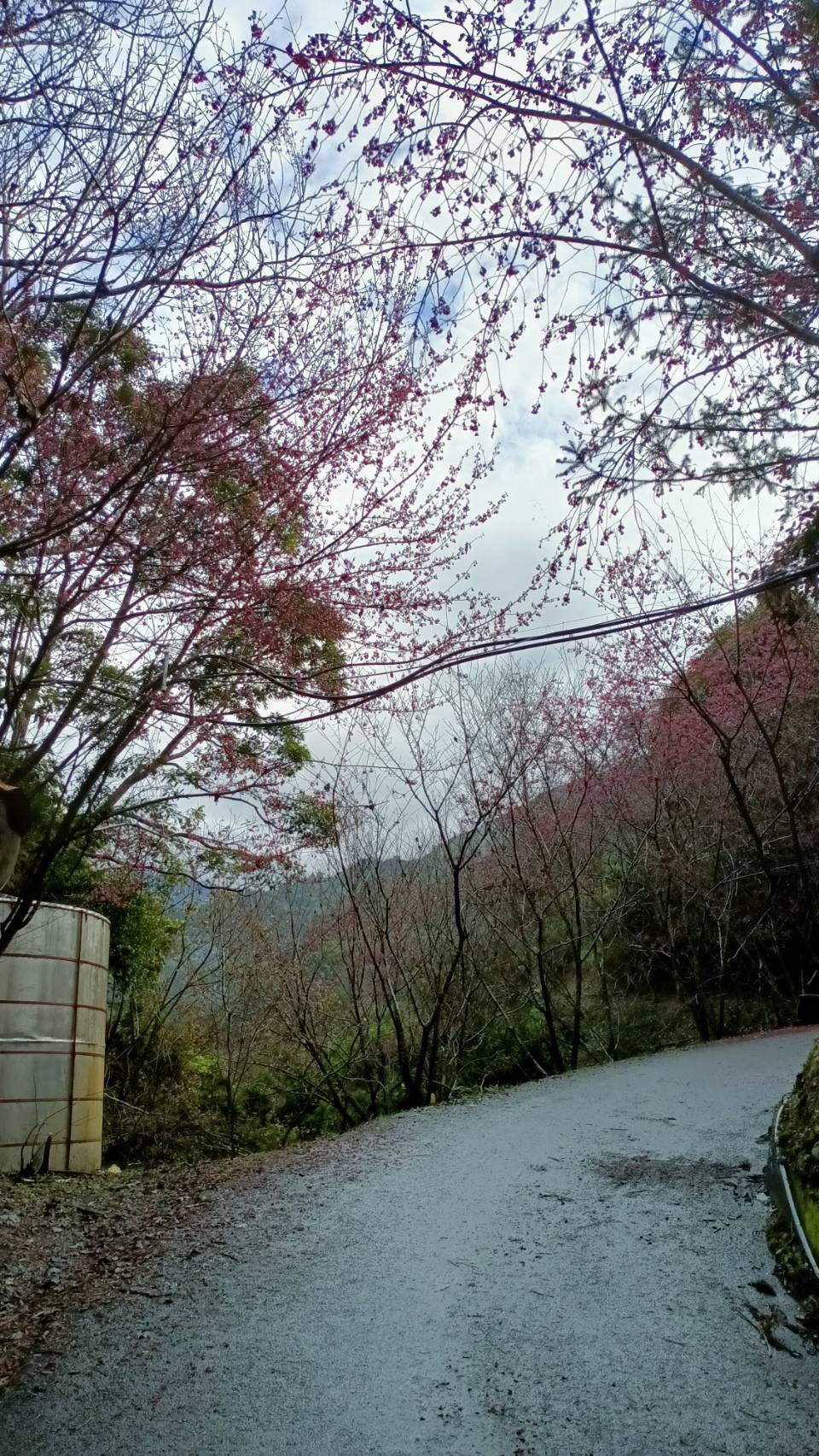 風景