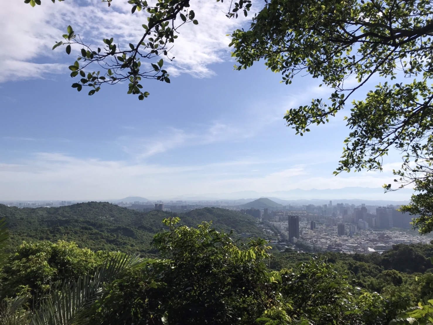 風景