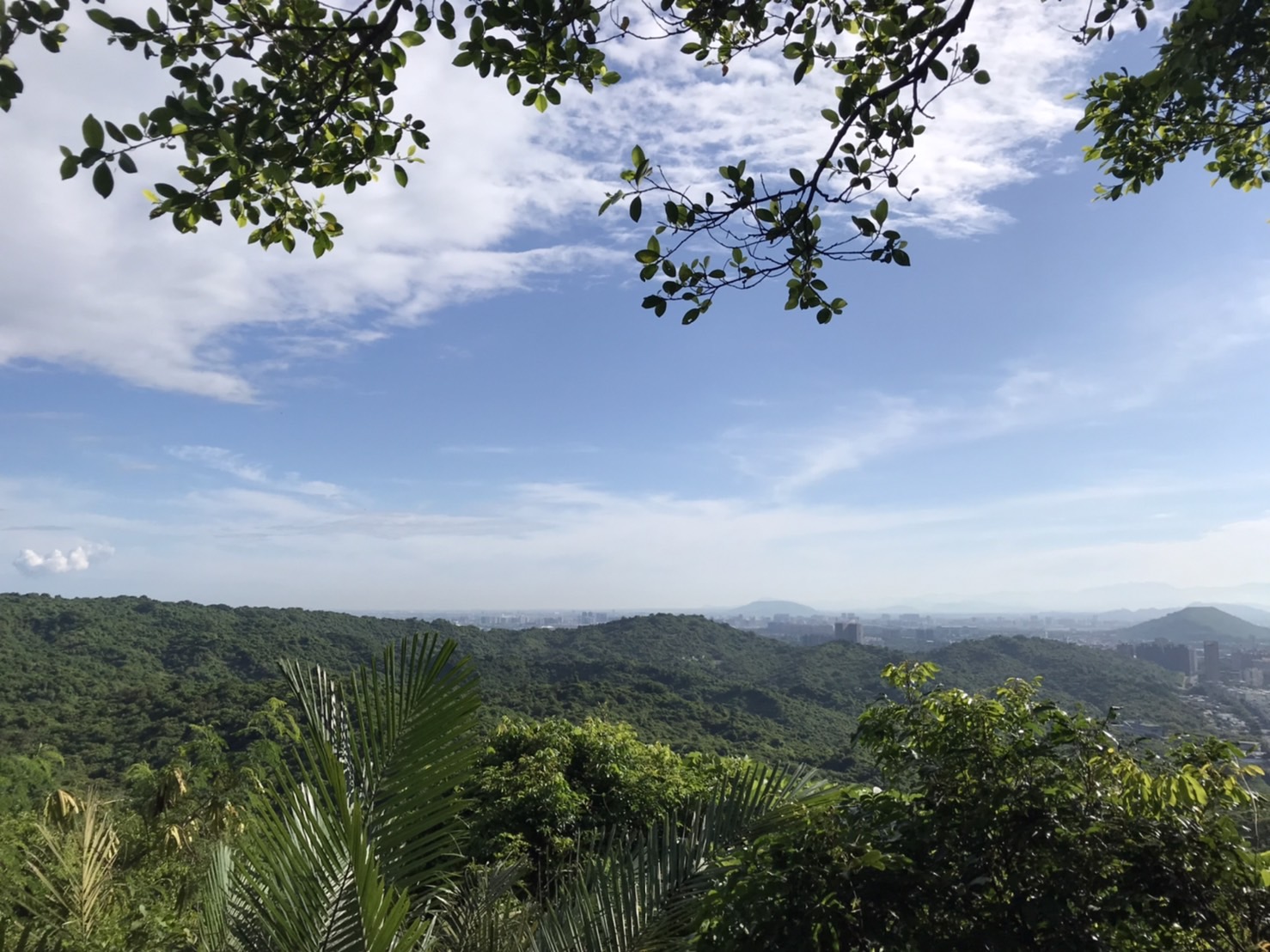 風景