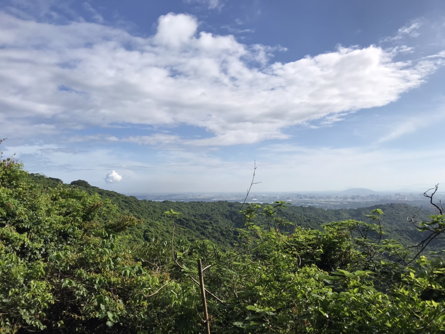 風景