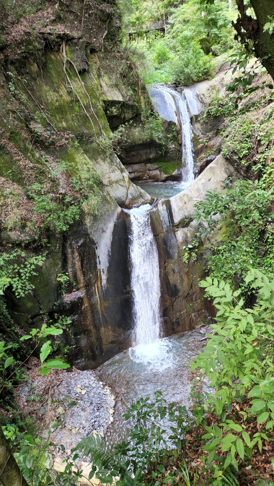 風景