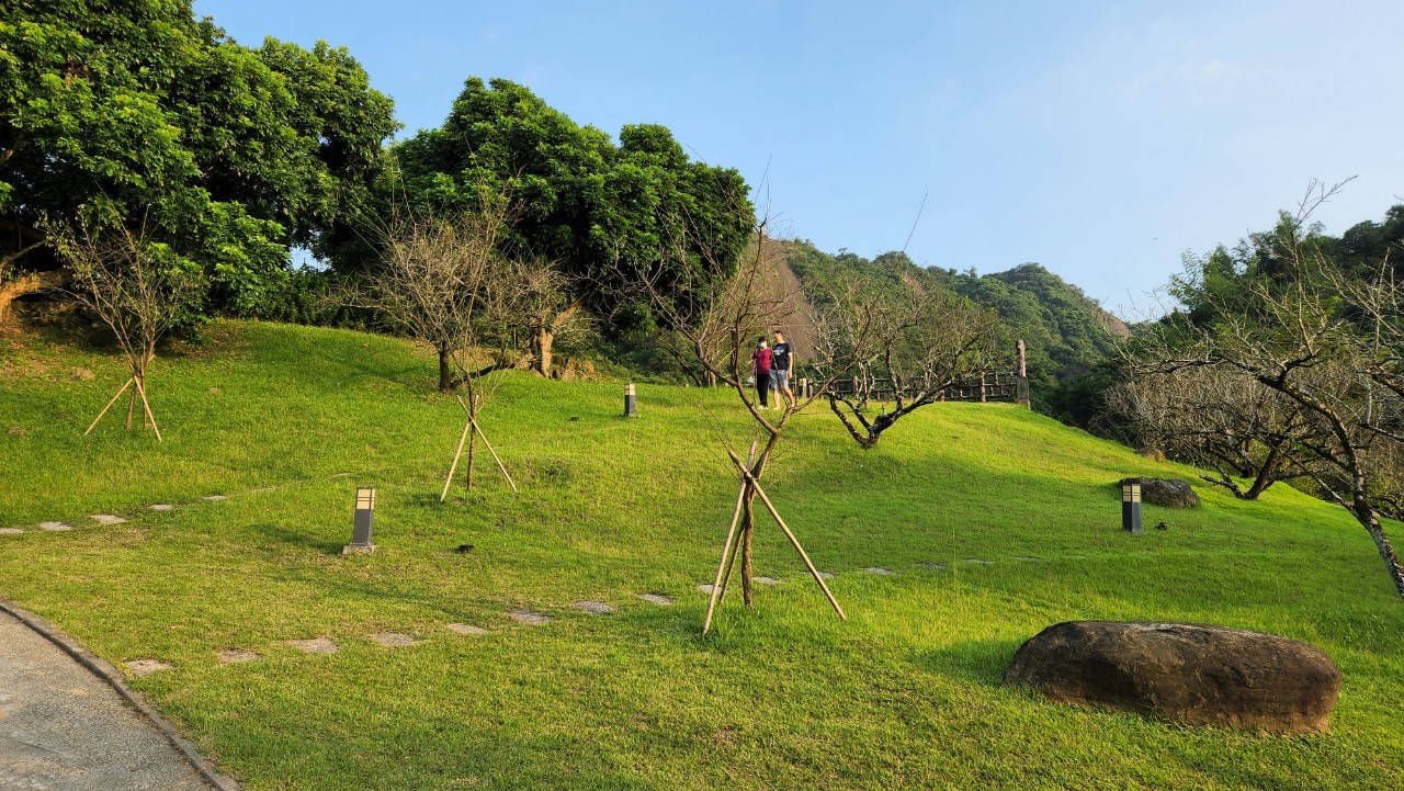 風景