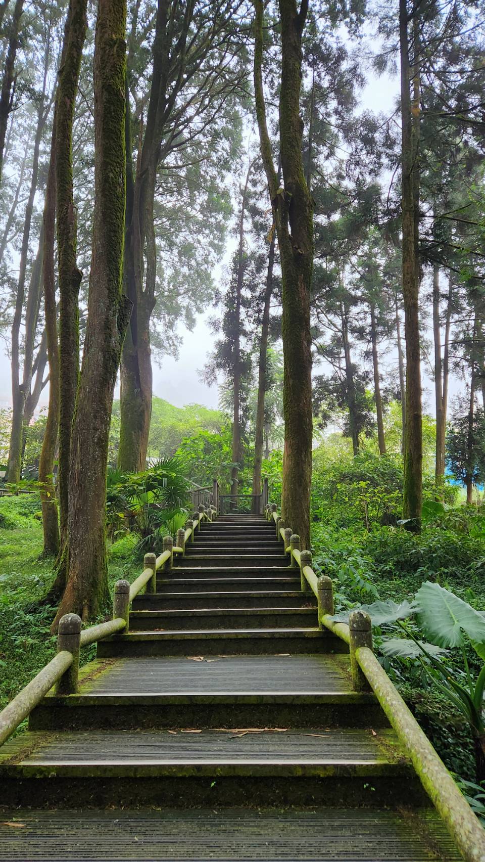 風景