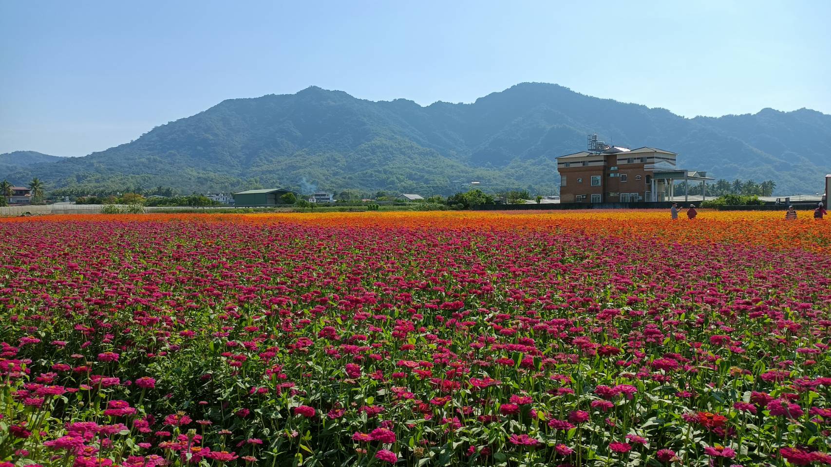 風景