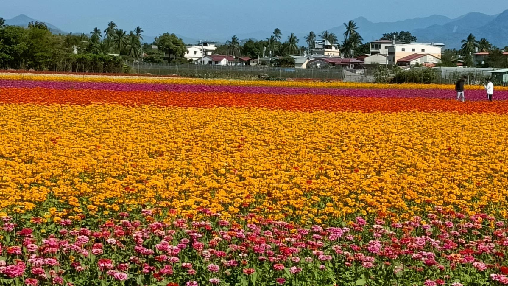 風景