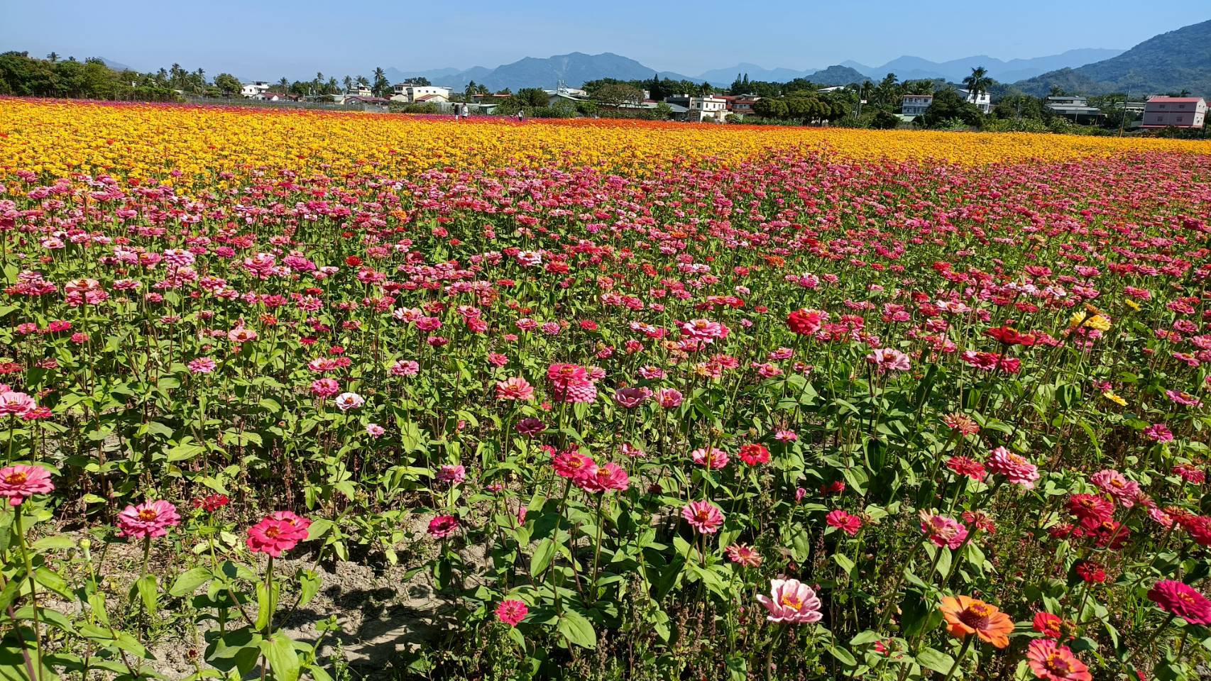 風景