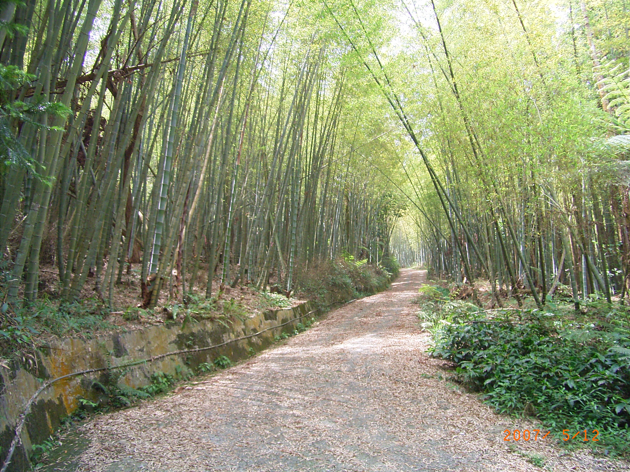 風景