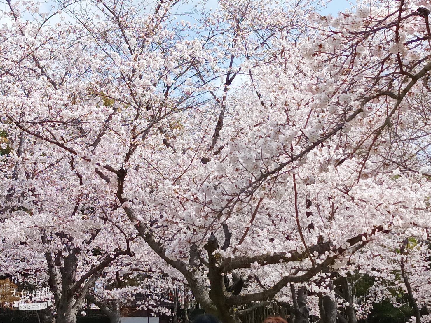 風景