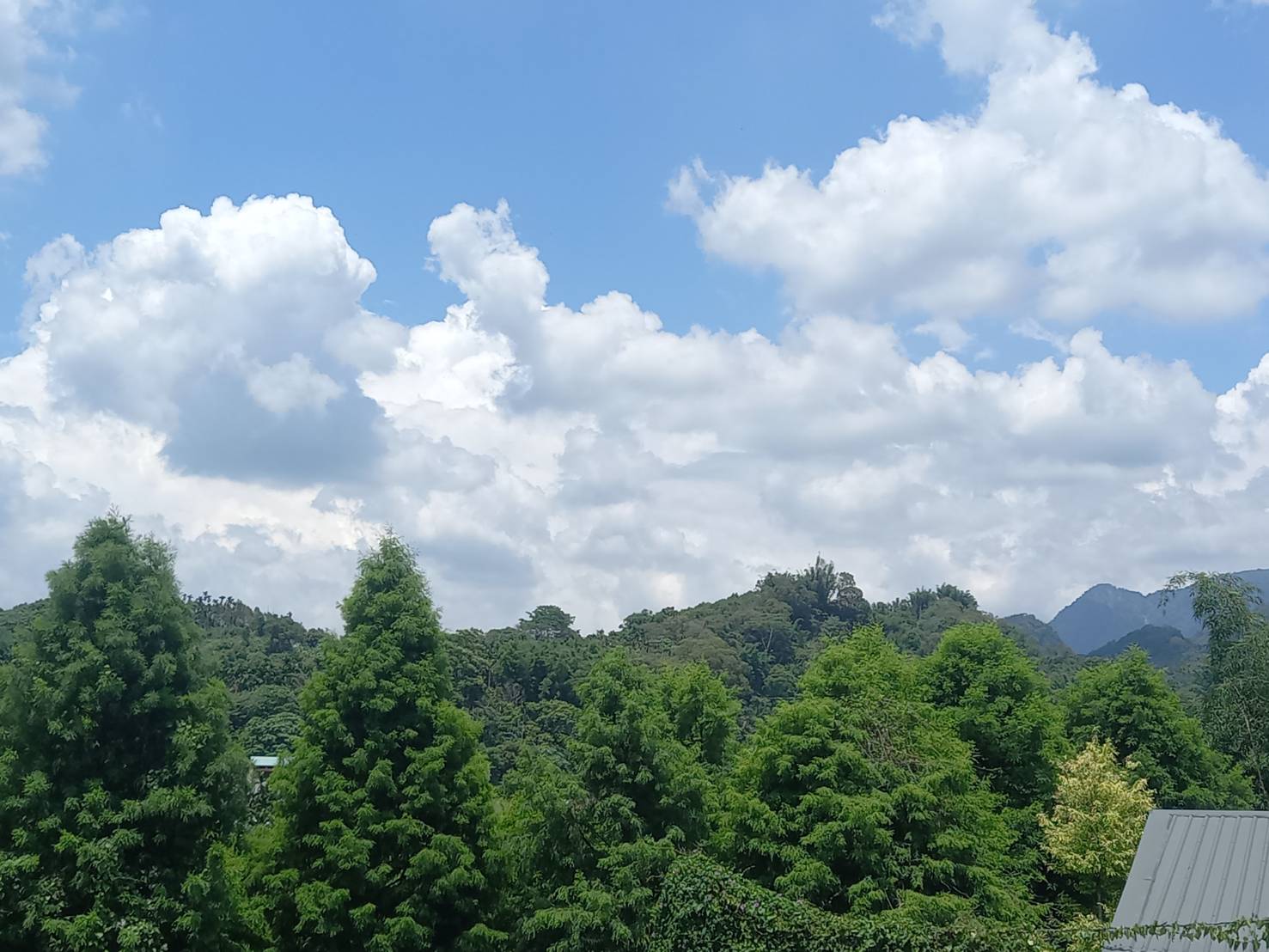 風景