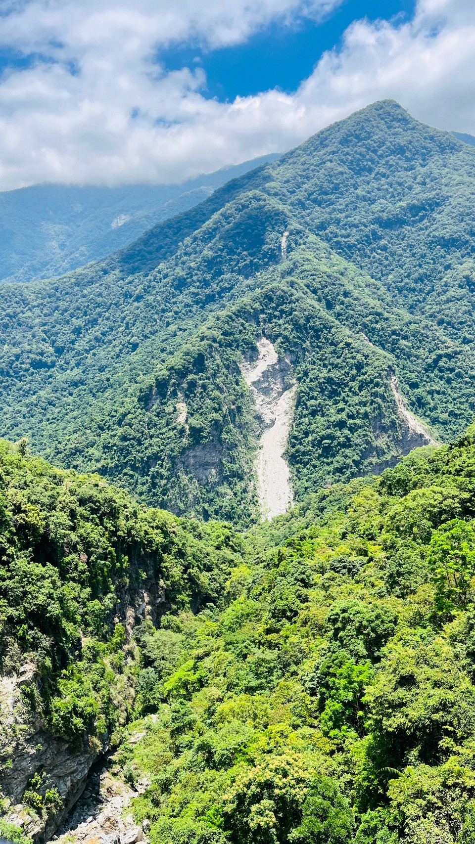 風景
