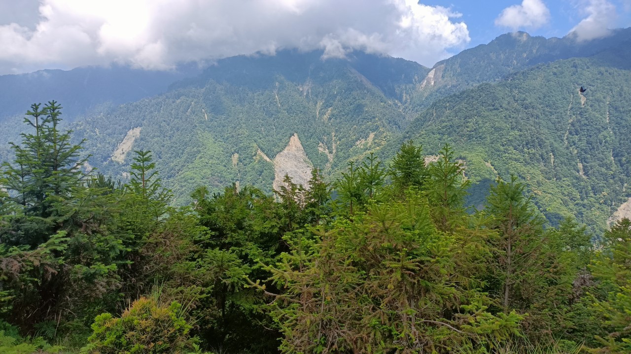 風景