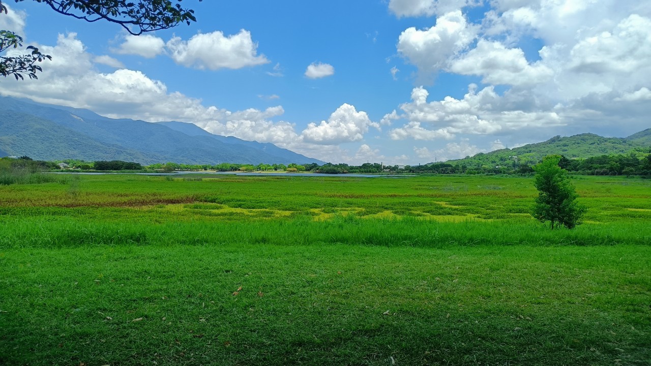 風景