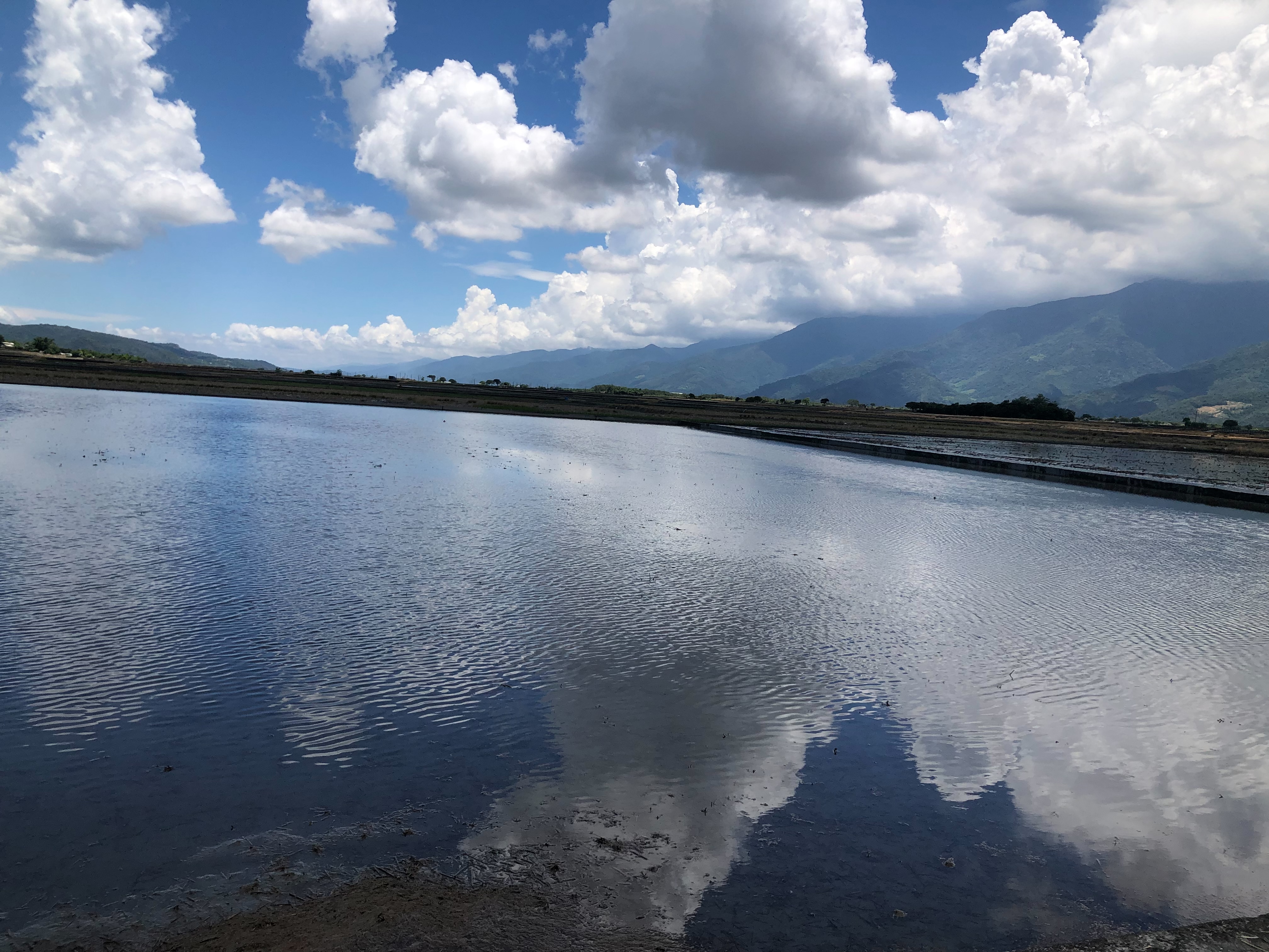 風景