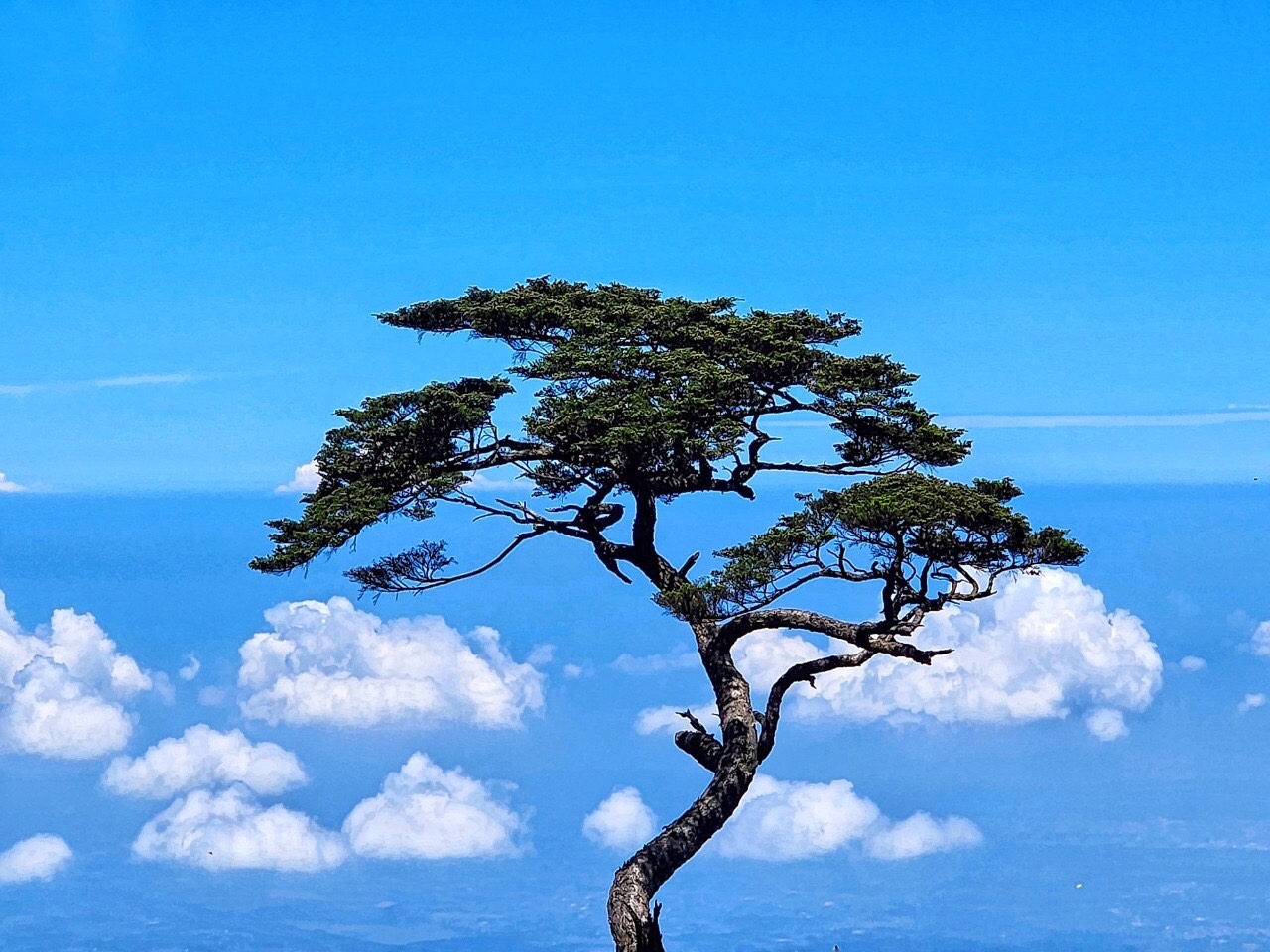風景