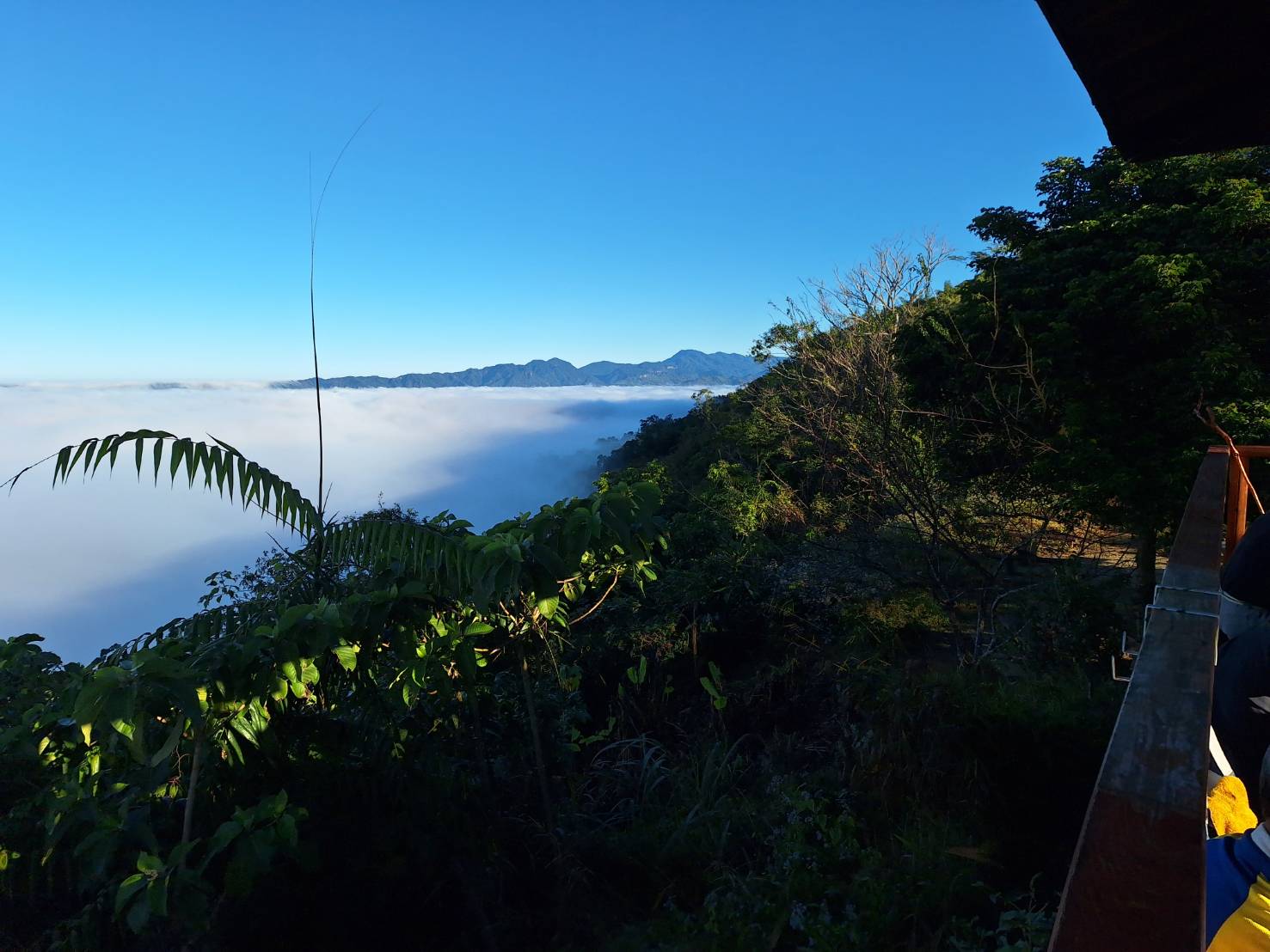 風景