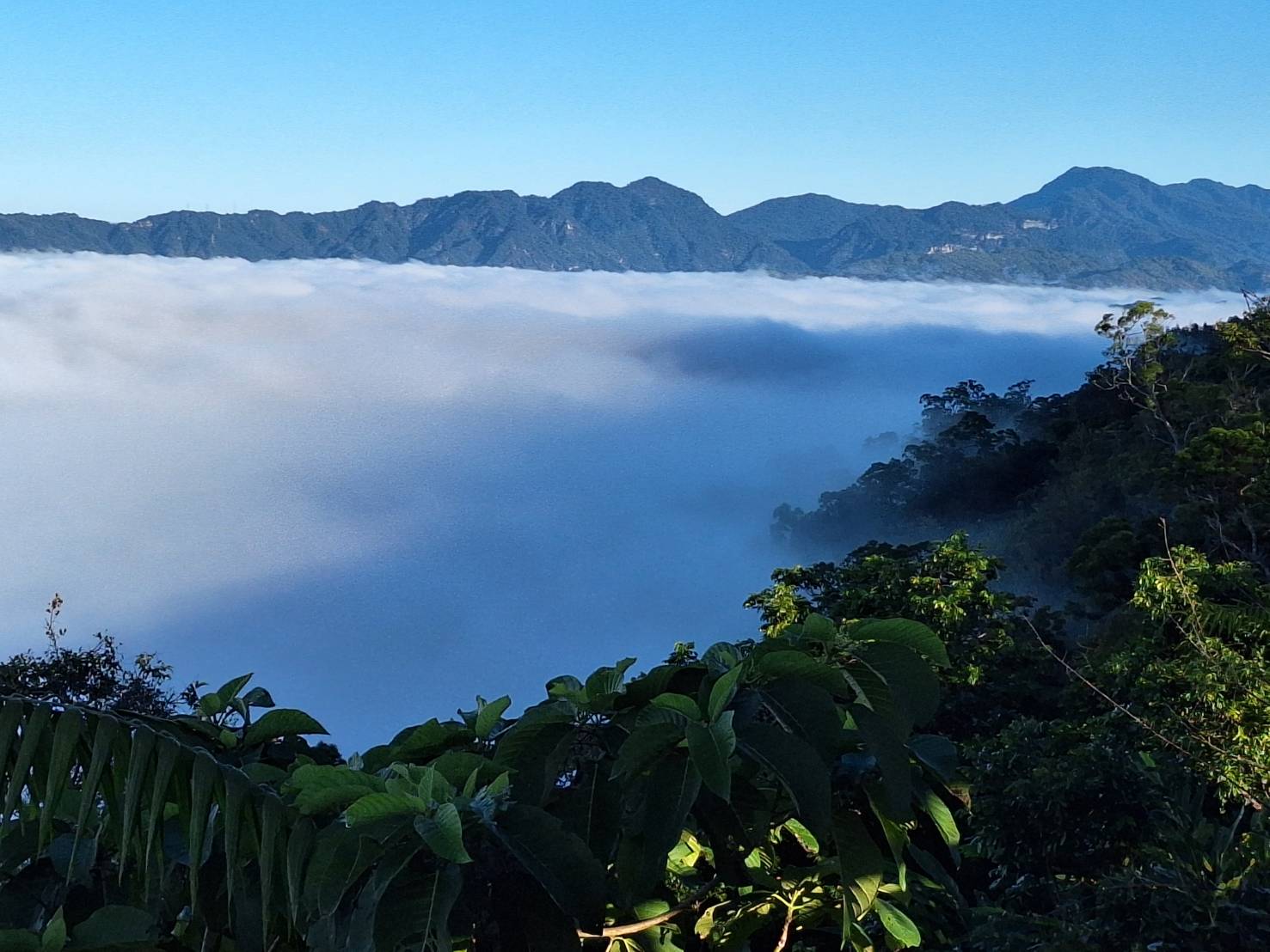 風景