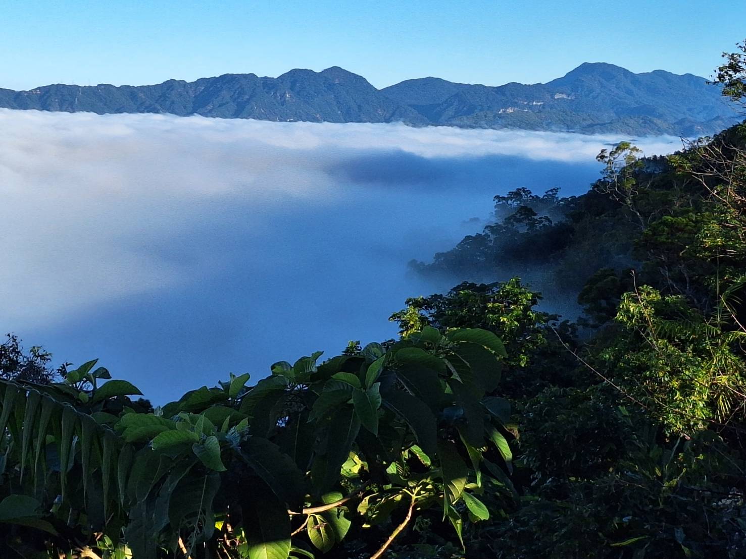 風景