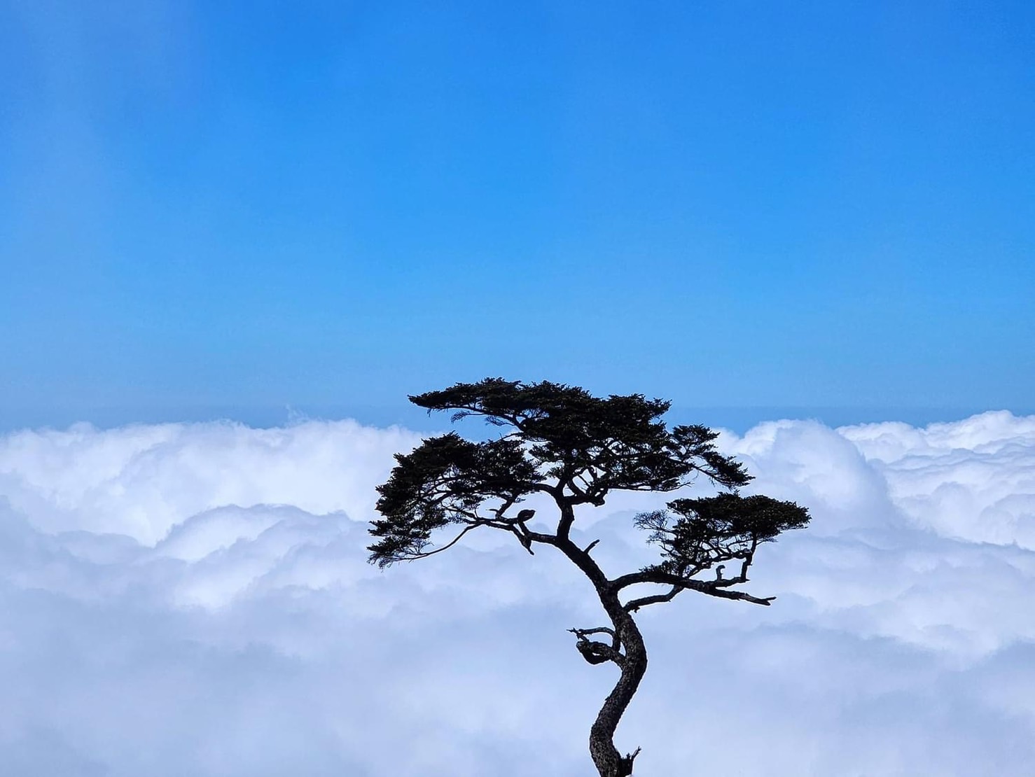 風景