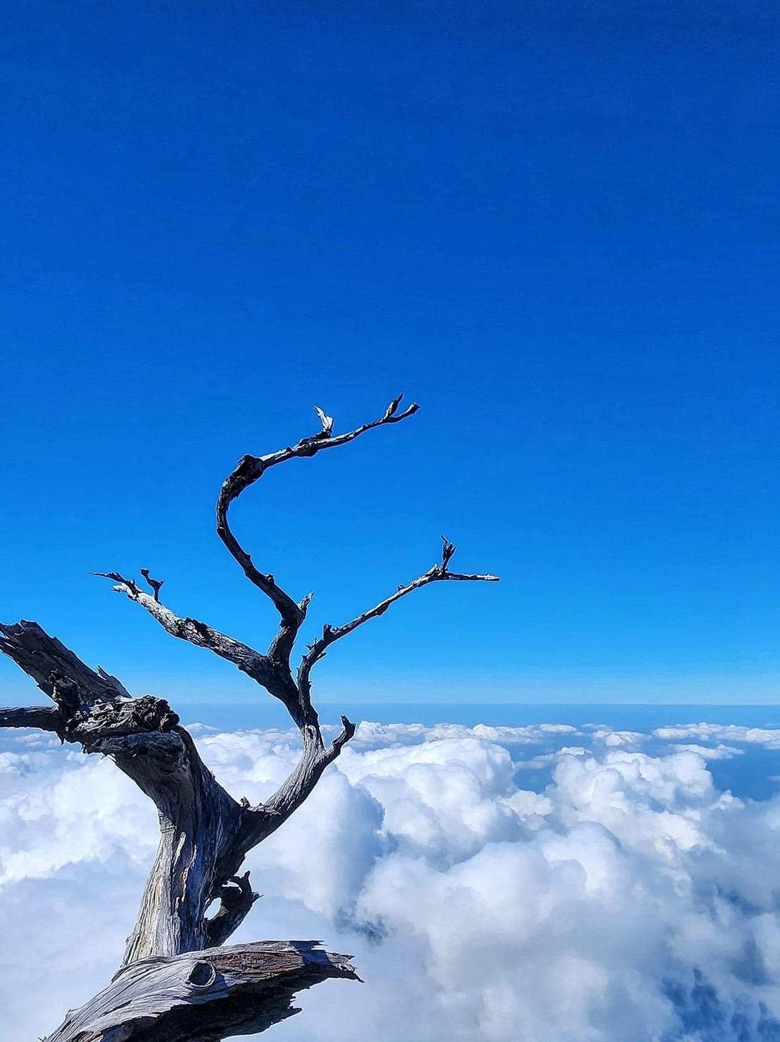 風景