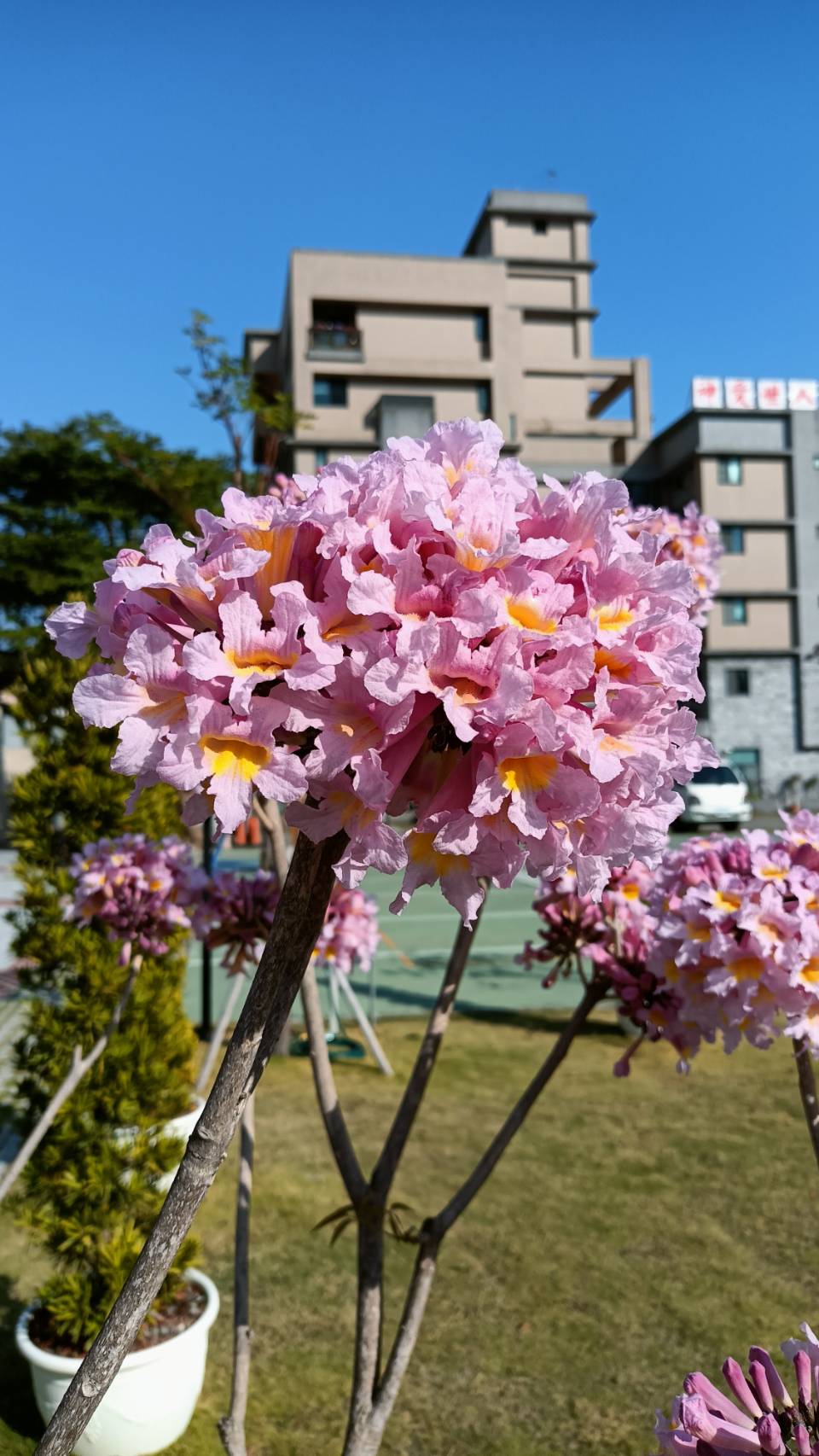 風景