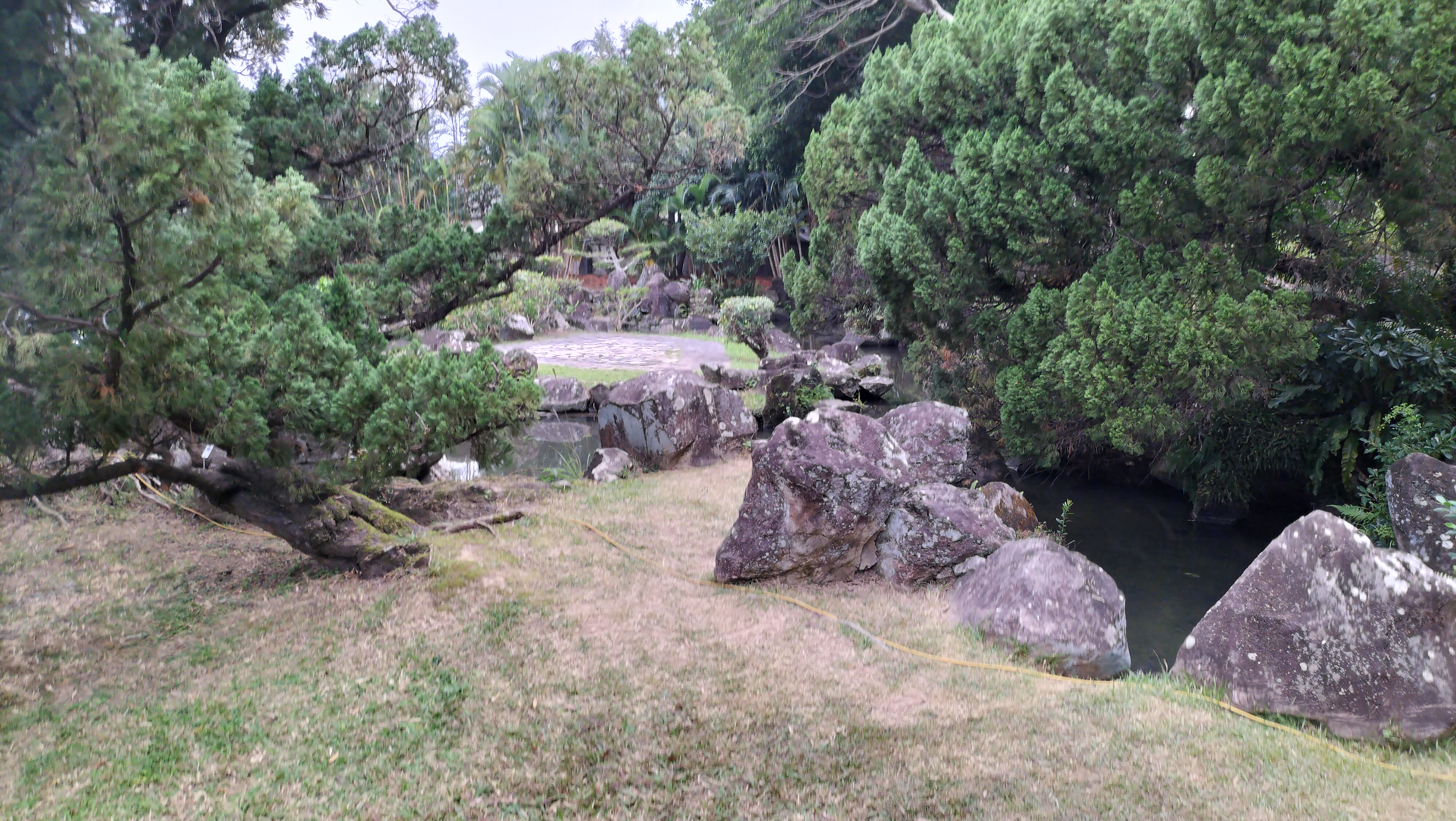 風景