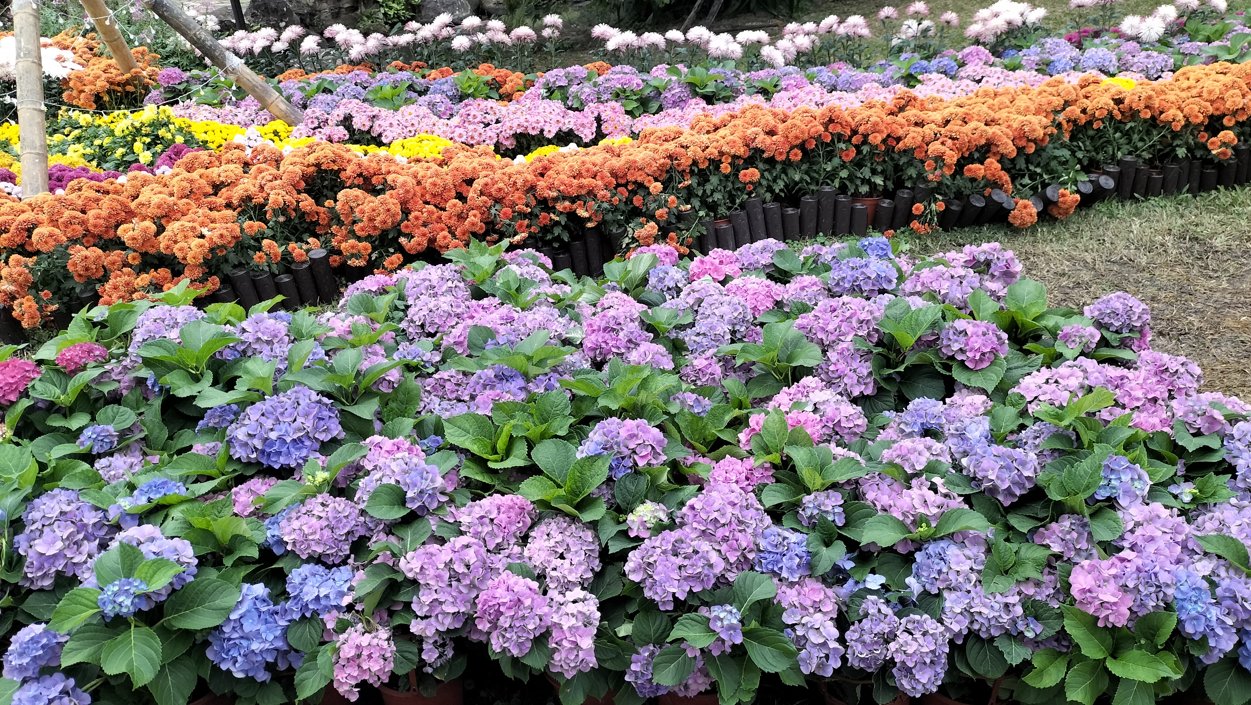 風景
