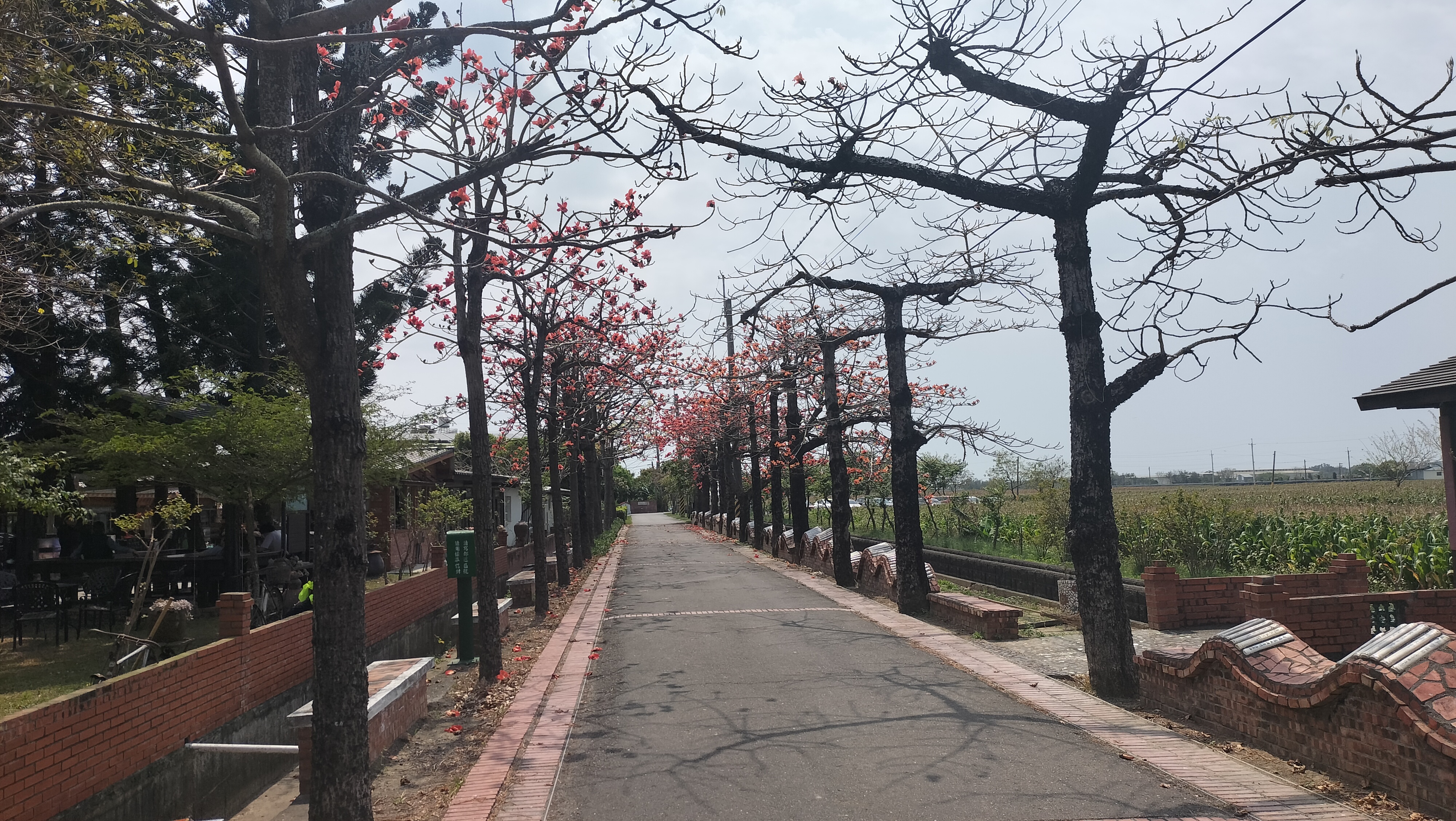 風景